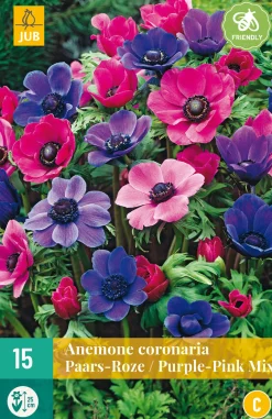 15 bloembollen anemone coronaria paars-roze mix