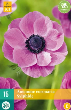 15 bloembollen anemone coronaria sylphide