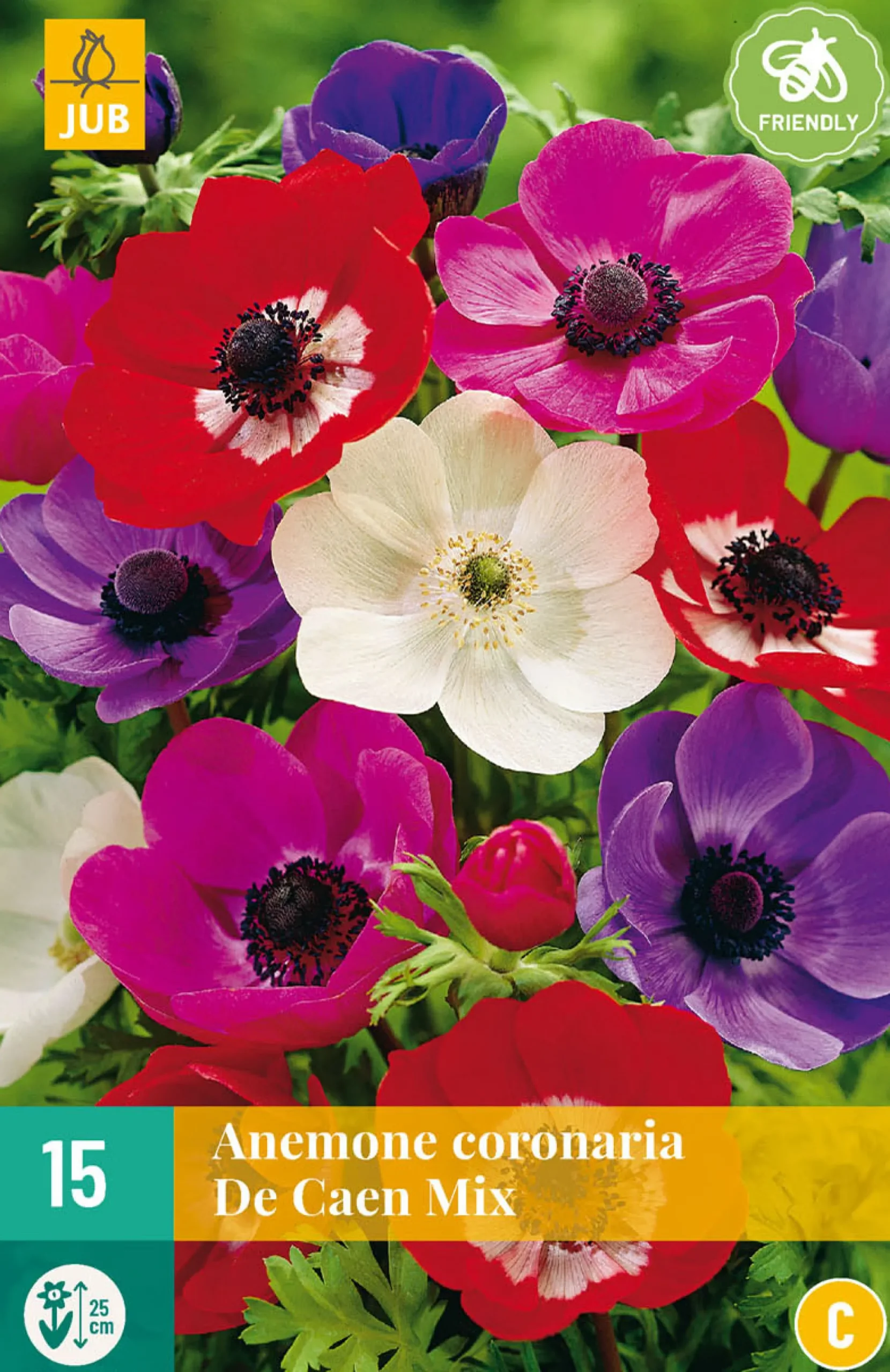 15 bloembollen anemone coronaria de caen mix