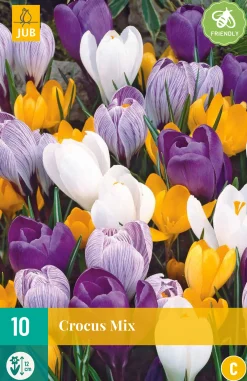 10 crocus grootbloemig mix