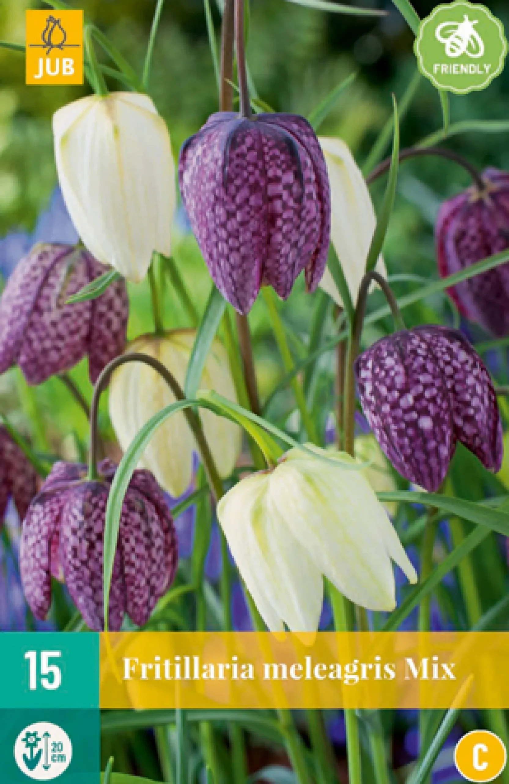 15 fritillaria meleagris mix