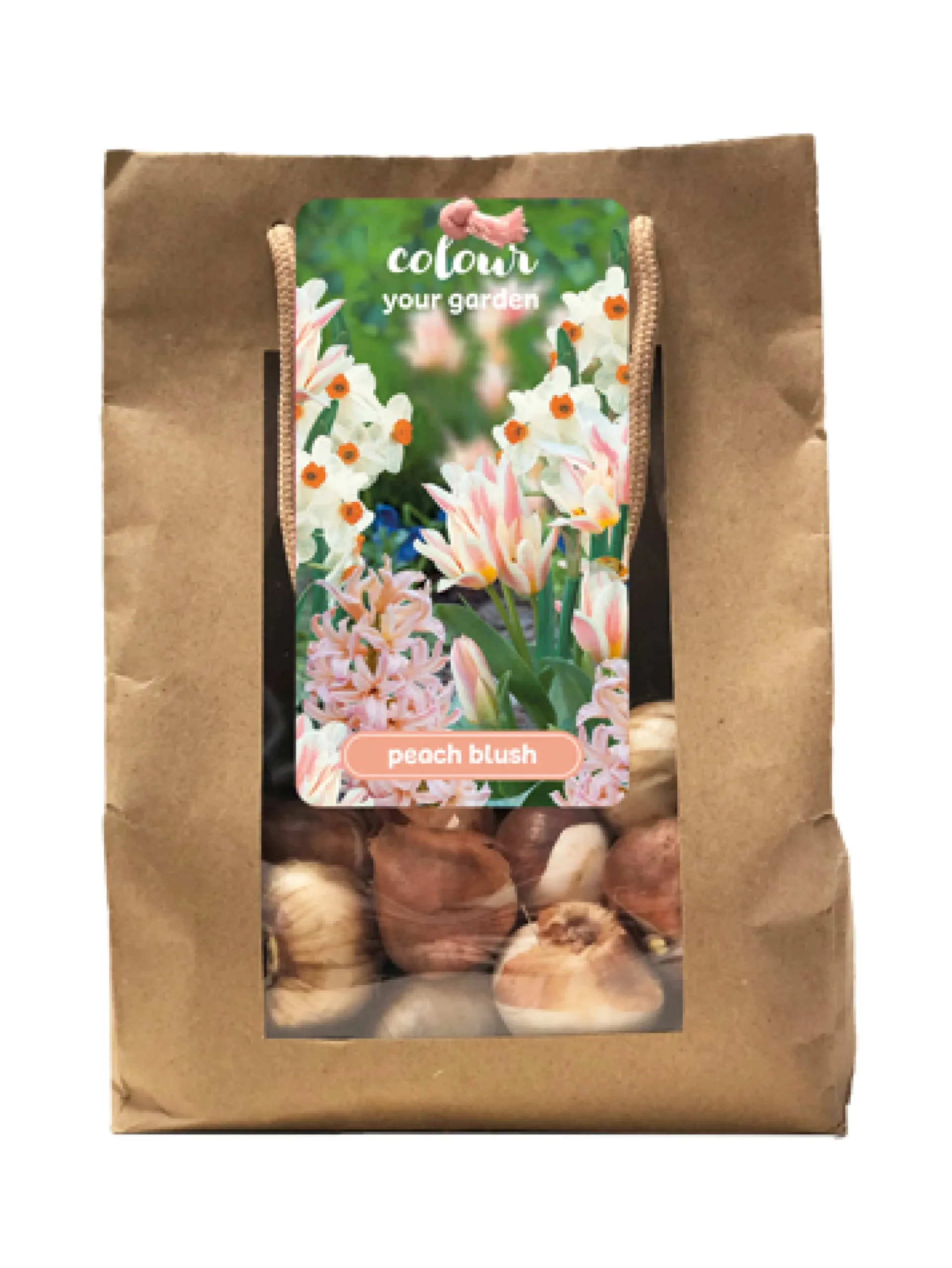 1 zak 25 bollen colour your garden peach blush