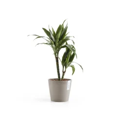 Amsterdam 20cm taupe met waterreservoir