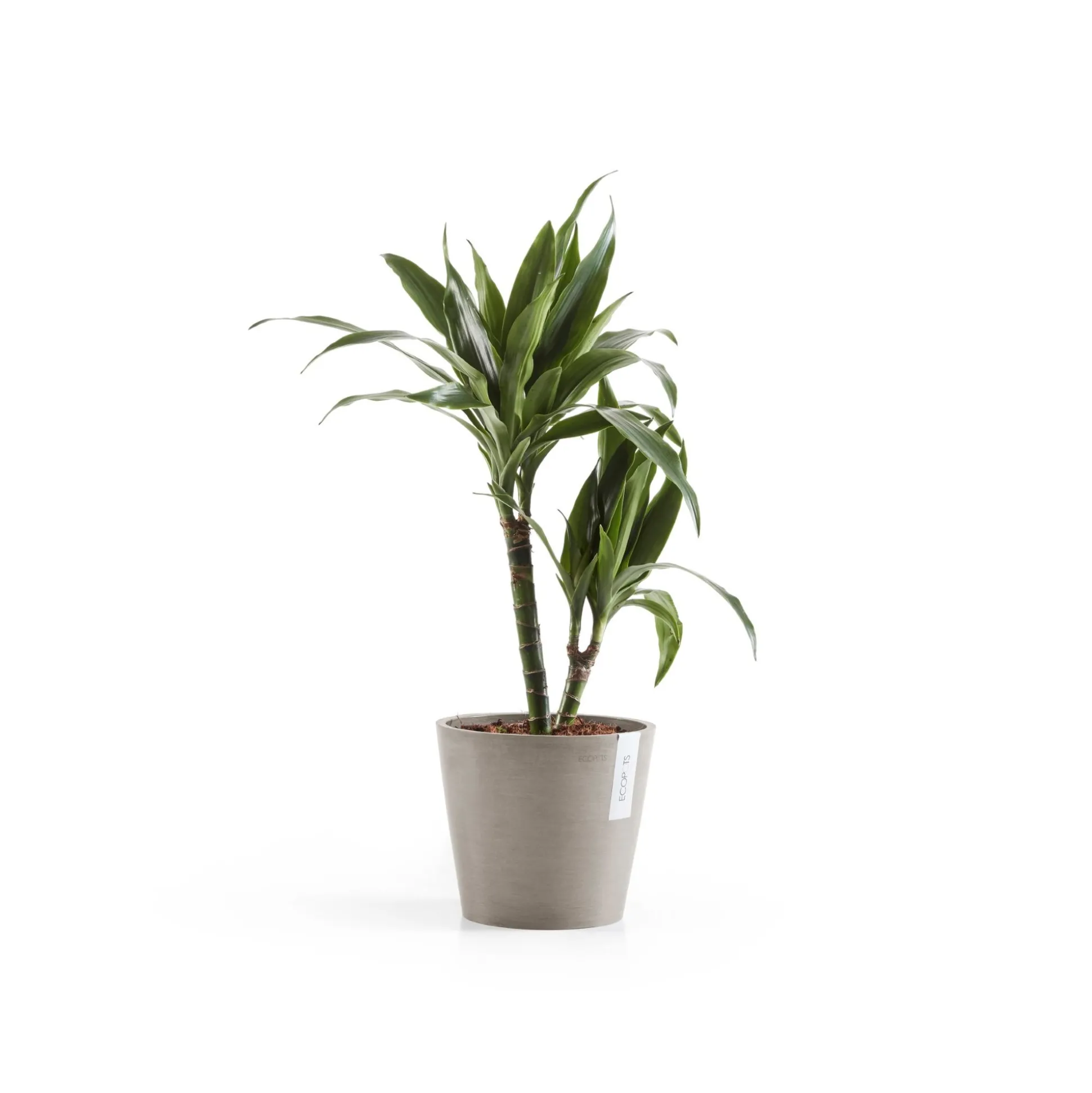 Amsterdam 20cm taupe met waterreservoir