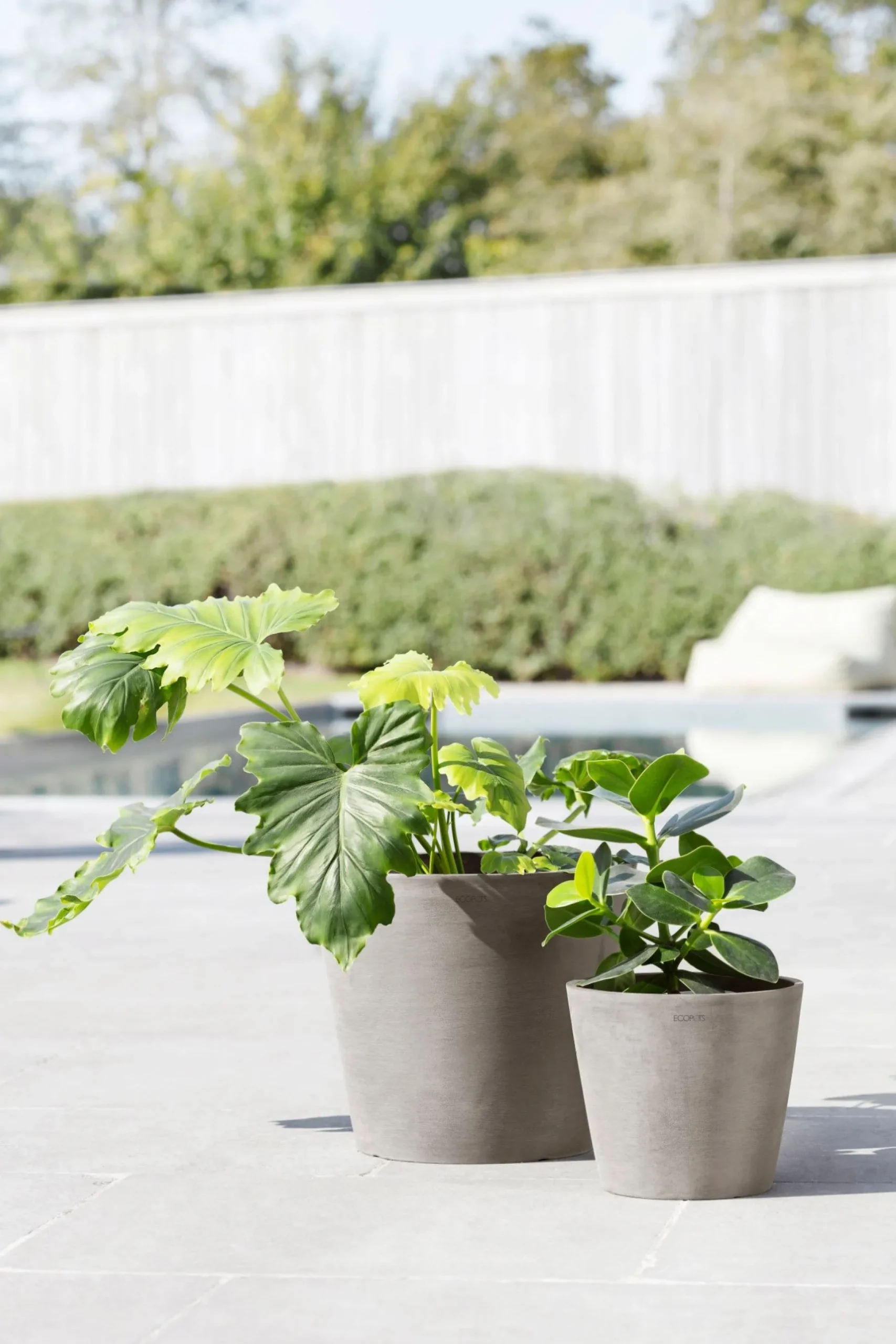 Amsterdam 20cm taupe met waterreservoir