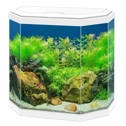 Aquarium aqua 30 led