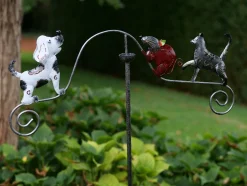 Balans kat - muis - hond