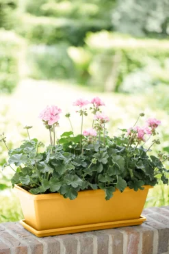 Barcelona balkonbak schotel