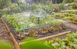Bewatering moestuin/​bloembed Set