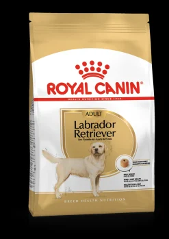 Bhn labrador retriever 12kg