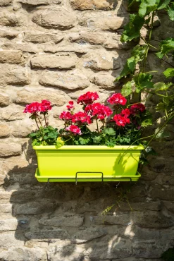 Bloembak relax 50x20h16 lime