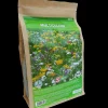 Bloemenmengsel voor multicolore 50m²