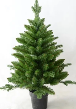 Boom in pot 46 x 60cm