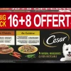 Cesar alu 2 variaties 16+8 gratis