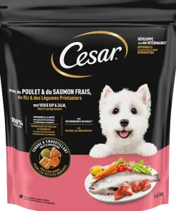 Cesar droogvoer kip zalm 1,4kg