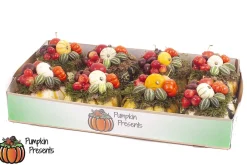 Compositie pompoen arrangement