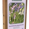 Doos 'everbloom' met 25 bloembollen hyacinthoides hisp. mix