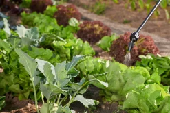 Druksproeier Hobby Star 5