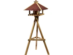 EG Barvo + voet 51x40x155cm