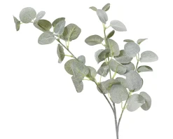 Eucalyptus polyester