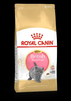 Fbn kitten british shorthair 2kg