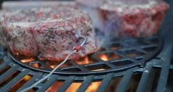 Gasbarbecue spirit epx-315 premium gbs