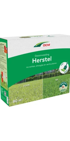 Gazonvoeding Herstel