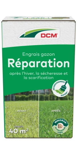 Gazonvoeding Herstel