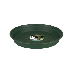 Green basics schotel 10