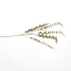Grote eucalyptus tak 90cm goud