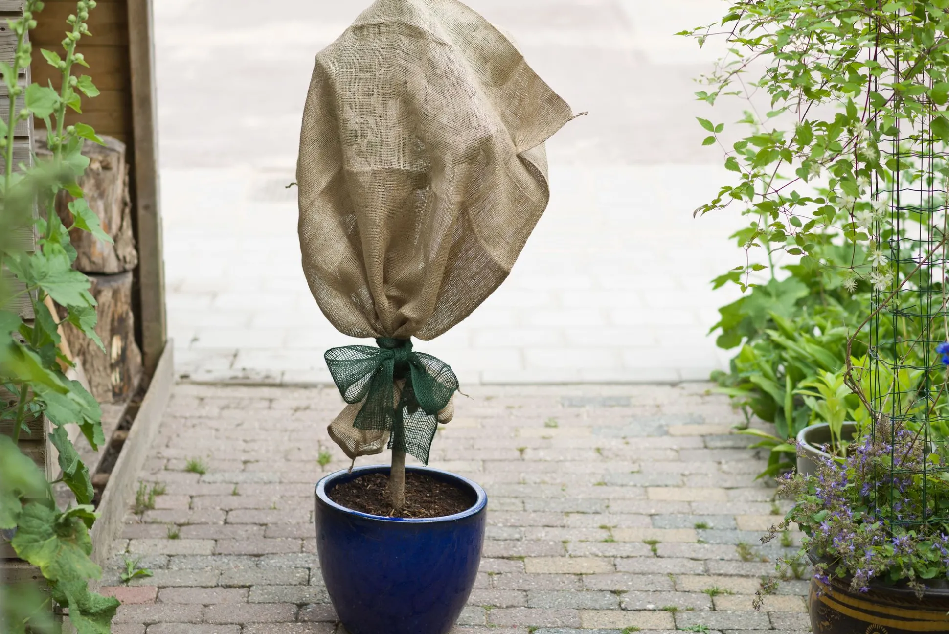 Juteband h10cmx25m groen 220g/m²