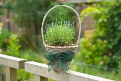 Juteband h10cmx25m groen 220g/m²