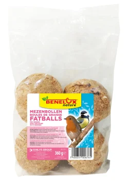 Mezenbollen per 4 stuks bessen/ fruit zonder net 360g
