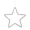 Ornament ster d25cm