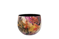 Pot sweet magnolia d17 h14