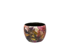 Pot sweet magnolia d7 h6