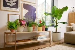 Pot vibes fold 9cm botergeel