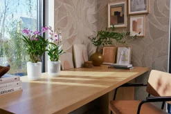 Pot Vibes fold orchidee