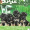 Puzzle 1000 stuks Chiots/Puppies