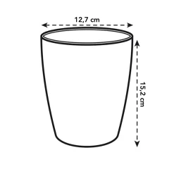 Rond orchidee 12,5cm