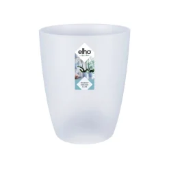 Rond orchidee 12,5cm