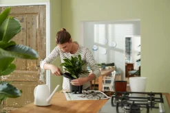 SELF-WATERING INSERT 24CM LIVING BLACK