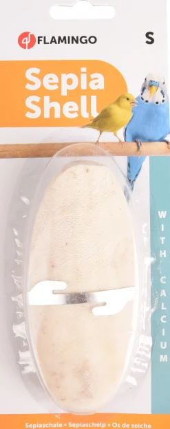 Sepia schelp op kaart 11cm 2st