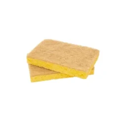 Set van 2 schuursponzen