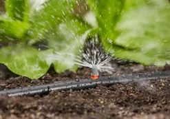 Startset voor bloembedden of moestuin
