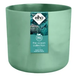 The Ocean Collection 16cm Pacific green