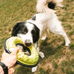 Tug-o-war loop - y 21x5,2,5