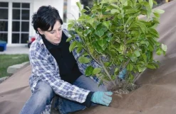 Tuindoek gold 1,15x10m 125g/m²