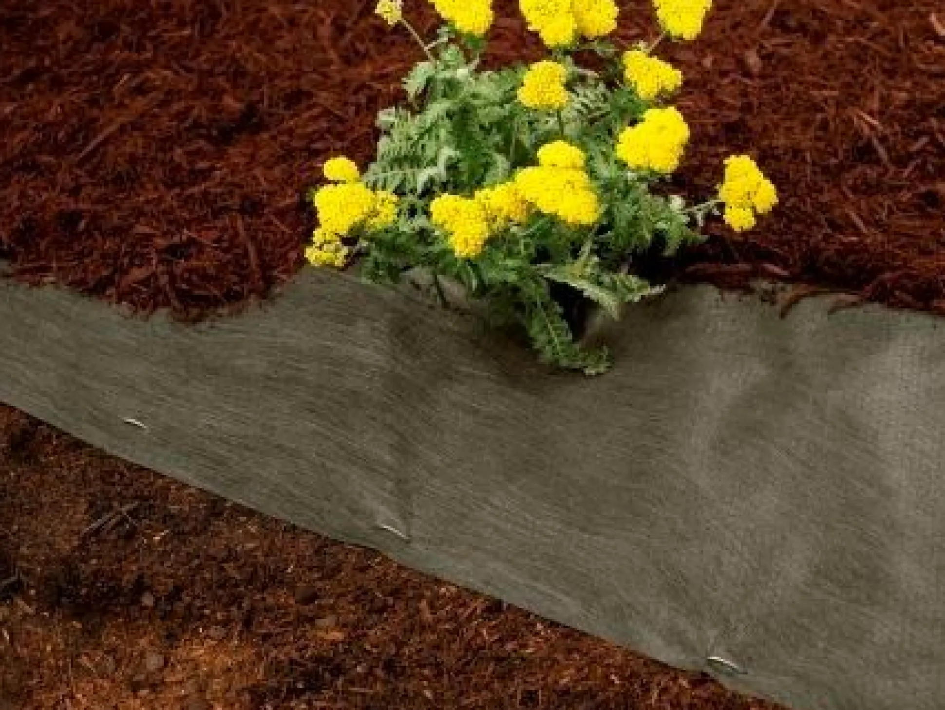 Tuindoek 1x25m 68g/m²