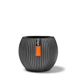 Vaas bol Groove 21x19